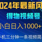 （10548期）2024年5月最新蓝海项目，小白无脑操作，轻松上手，日入1000+