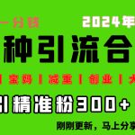 （10545期）0投入，每天搞300+“同城、宝妈、减重、创业、大学生”等10大流量！