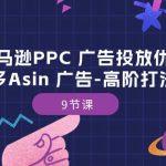 亚马逊PPC广告投放优化：亚马逊多Asin广告高阶打法内训班（9节课）