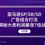 亚马逊SP/SB/SD广告组合打法，揭秘大卖利润暴涨7倍战术 (9节课)