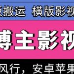 百万博主影视搬运技术，卡模板搬运、可挂风行，安卓苹果都可以