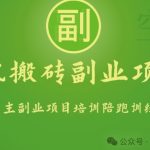 手机搬砖小副业项目训练营1.0，实测1小时收益50+，一部手机轻松日入100+