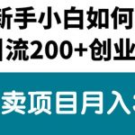 （10843期）新手小白日引流200+创业粉,通过卖项目月入3W+