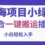 （10841期）蓝海项目小绿书，配合一键搬运插件，小白轻松入手