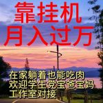 （10838期）靠挂机，日入1000+，躺着也能吃肉，适合宝爸宝妈学生党工作室，电脑手…