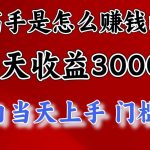 高手是怎么赚钱的，一天收益3000+，闷声发财项目，不是一般人能看懂的