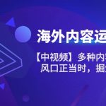 （10833期）海外内容 运营课【中视频】多种内容运营玩法 风口正当时 掘金好时机-101节