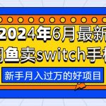 （10831期）2024年6月最新闲鱼卖switch游戏手柄，新手月入过万的第一个好项目