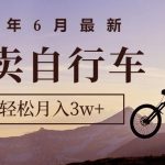 （10915期）2024年6月最新闲鱼卖自行车，新手小白轻松月入3w+项目