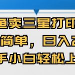 （10903期）闲鱼卖三星打印机，操作简单，日入2000+，新手小白轻松上手