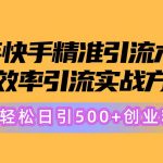 （10894期）24年快手精准引流术5.0，高效率引流实战方法，轻松日引500+创业粉