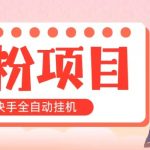 （10893期）全自动成交 快手挂机 小白可操作 轻松日入1000+ 操作简单 当天见收益