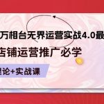 （10892期）2024-万相台 无界 运营实战4.0最新版，店铺 运营推广必修 理论+实操