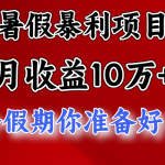 月入10万+，暑假暴利项目，每天收益至少3000+