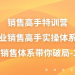 销售高手特训营，美业销售高手实操体系课，三大销售体系带你破局（38节）