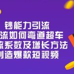 钞 能 力 引 流：投流弯道超车，投流系数及增长方法，创造爆款短视频（20节）