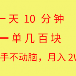 （10974期）一天10 分钟 一单几百块 简单无脑操作 月入2W+教学