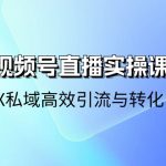 （10966期）21天-视频号直播实操课，视频号X私域高效引流与转化（22节课）