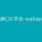 欧洲C2C平台-wallapop-kim跨境电商教程