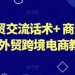 外贸交流话术+ 商务书写-外贸跨境电商教程