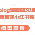 小红书plog爆款图文训练，从0到1搭建小红书账号