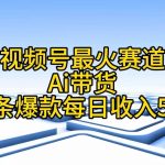 （11038期）视频号最火赛道——Ai带货条条爆款每日收入500