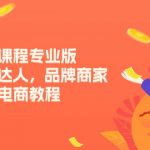 （11022期）小红书课程专业版，小白，达人，品牌商家，小红书电商教程（15节）