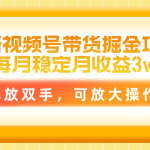 （11010期）最新视频号带货掘金项目，每月稳定月收益3w+，解放双手，可放大操作