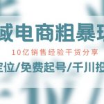 （11057期）全域电商-粗暴玩法课：10亿销售经验干货分享！定位/免费起号/千川投流