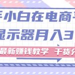 （11053期）新手小白如何做到在电商平台卖显示器月入3W+，最新赚钱教学干货分享