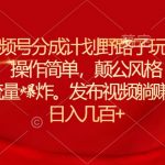 （11040期）6月视频号分成计划野路子玩法最新赛道操作简单，颠公风格玩法清奇，流…