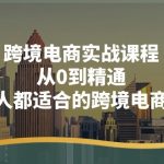 跨境电商实战课程：从0到精通，人人都适合的跨境电商课（14节课）