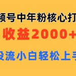 （11205期）视频号中年粉核心玩法 日收益2000+ 不投流小白轻松上手