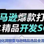 【训练营】亚马逊爆款打造之精品开发SOP，系统化洞察亚马逊精品选品全流程