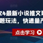 2024最新小说推文玩法，今日话题玩法，快速量产(快剪)