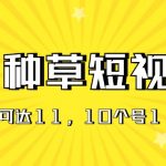 （11324期）AI种草单账号日收益11元（抖音，快手，视频号），10个就是110元