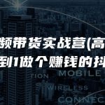 短视频带货实战营(高阶课)，从0到1做个赚钱的抖音号（17节课）