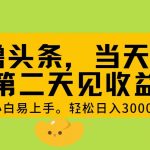 （11314期） AI撸头条，轻松日入3000+，当天起号，第二天见收益。