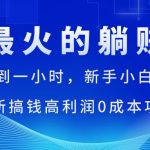 （11307期）全网最火的躺赚模式，每天操作不到一小时，新手小白日赚1500+，最新搞…