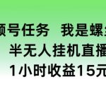 视频号任务，我是螺丝王， 半无人挂机1小时收益15元