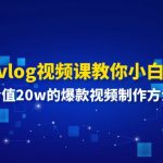 （11517期）0基础vlog视频课教你小白变大神：价值20w的爆款视频制作方法