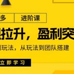 拼多多进阶课：极限拉升/盈利突破：从算法到玩法 从玩法到团队搭建（18节）