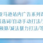 亚马逊站内广告系列课：选品选词/自动手动打法/竞价预算/减法暴力打法/等