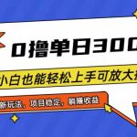 （11490期）全程0撸，单日300+，小白也能轻松上手可放大操作