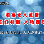 （11483期）七月份淘宝无人直播最新玩法，入场即吃肉，真正实现躺着也能赚钱