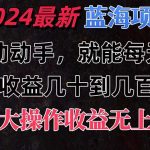 （11470期）有手就行的2024全新蓝海项目，每天1小时收益几十到几百，可放大操作收…