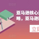 亚马逊核心选品推广新攻略，亚马逊跨境电商教程